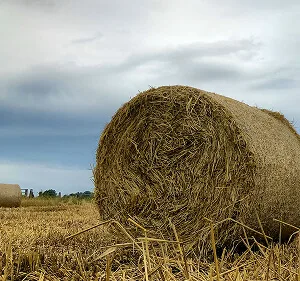 Agri-Tech and Innovation  Updates - 28圈