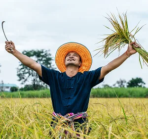 Agri-Tech and Innovation  Updates - 28圈