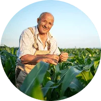 Revolutionizing the Way  Food is Grown - 28圈