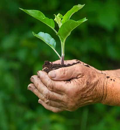 Our Legacy of Growth  & Trust - 28圈