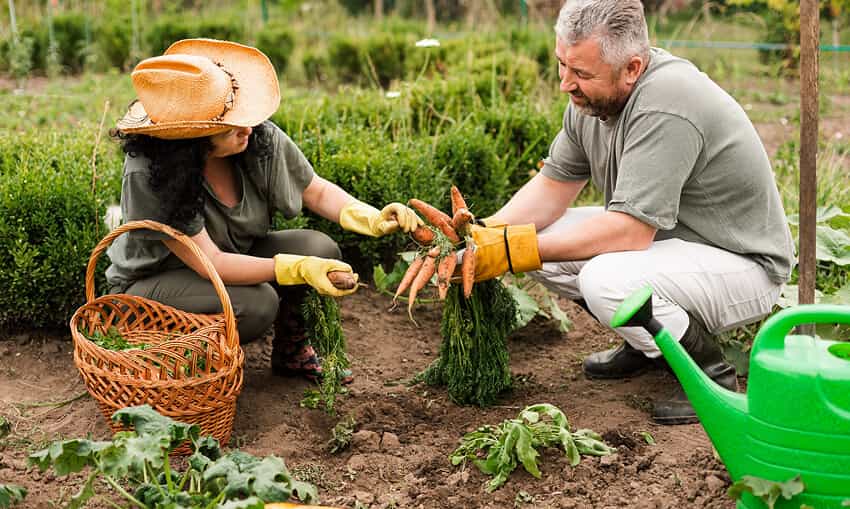 Revolutionizing the Way Food is Grown - 28圈