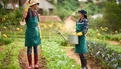 Revolutionizing the Way Food is Grown - 28圈