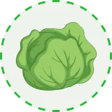 为您呈现精彩体育赛事 - 28圈xinxinhao