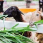 搜索 - 28圈xinxinhao